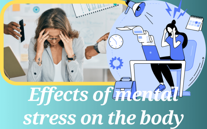 Effects of mental stress on the body